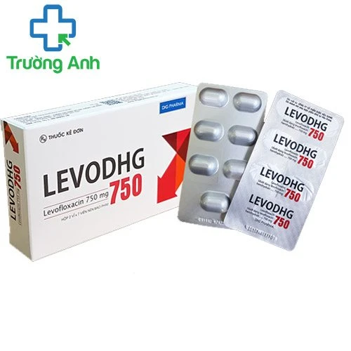 LevoDHG 750 - Thuốc điều trị nhiễm trùng hiệu quả