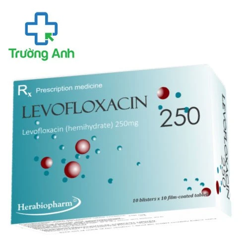 Levofloxacin 250 Hera - Thuốc điều trị nhiễm khuẩn hiệu quả 