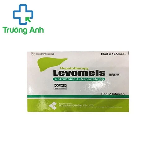 Levomels 5g - Thuốc điều trị các bệnh về gan hiệu quả