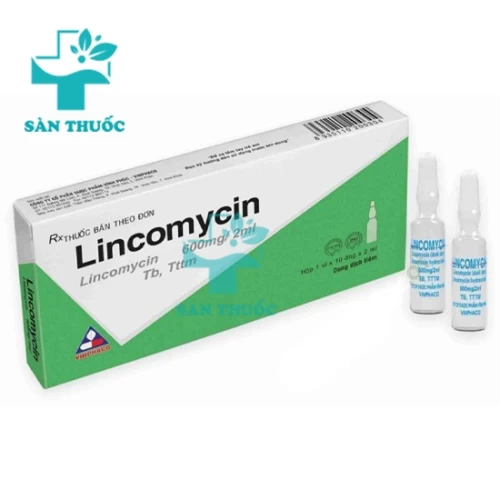 Lincomycin Vinphaco 600mg/2ml - Thuốc điều trị nhiễm trùng