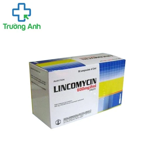 Lincomycin 600mg/2ml Dopharma - Thuốc kháng khuẩn hiệu quả