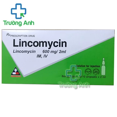 Lincomycin Vinphaco 600mg/2ml - Thuốc điều trị nhiễm trùng
