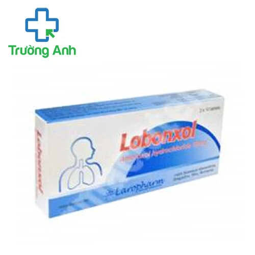 Lobonxol 30mg Laropharm - Thuốc điều trị viêm phế quản hiệu quả
