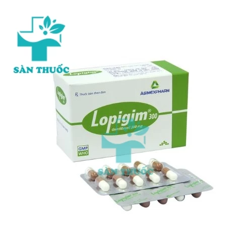 Lopigim 300 - Thuốc điều trị tăng lipoprotein máu của Agimexpharm