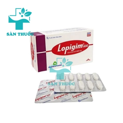 Lopigim 600 - Thuốc điều hòa lipid máu hiệu quả của Agimexpharm