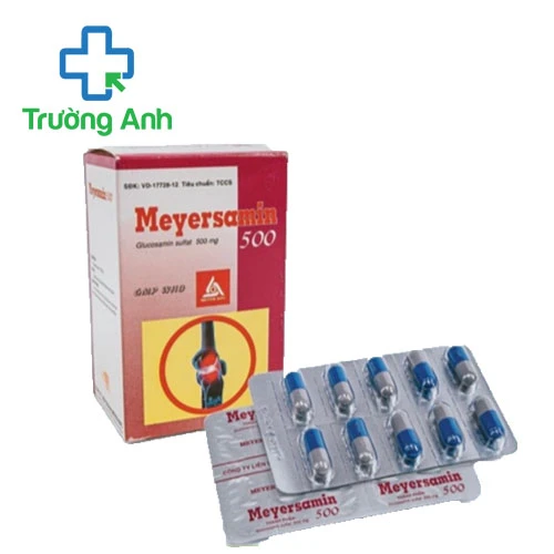 Meyersamin 500 - Thuốc điều trị đau xương khớp