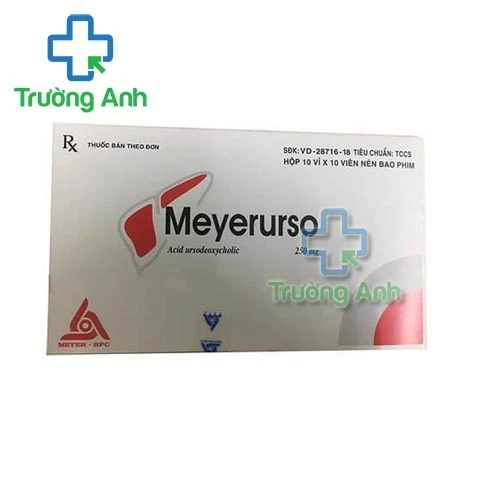 Meyerurso 250mg Mayer BPC - Thuốc điều trị các bệnh gan, mật mãn tính