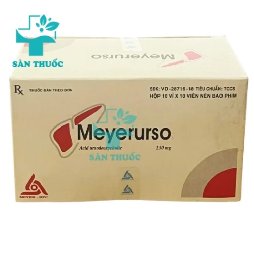 Meyerurso 250mg Mayer BPC - Thuốc điều trị các bệnh gan, mật mãn tính
