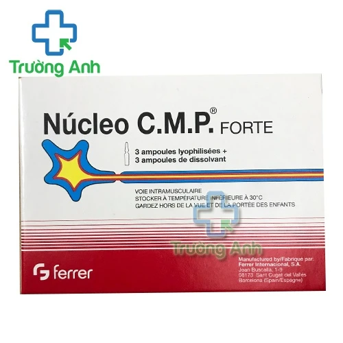 Nucleo CMP dạng tiêm - Thuốc điều trị tổn thương thần kinh hiệu quả