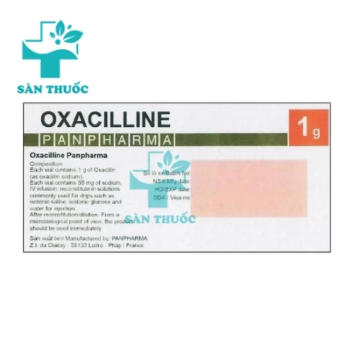Oxacilline 1g Panpharma - Thuốc điều trị nhiễm khuẩn nặng