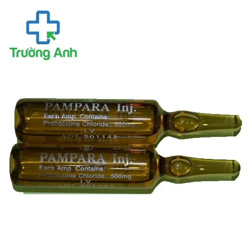 Pampara - Thuốc điều trị ngộ độc hiệu quả của Taiwan