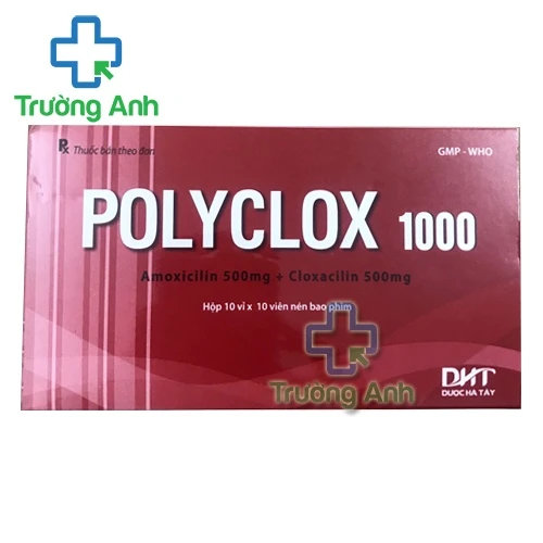 Polyclox 1000 - Thuốc điều trị các bệnh nhiễm khuẩn của Hataphar