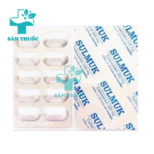 Sulmuk 500mg - Thuốc điều trị viêm đường hô hấp của BV Pharma