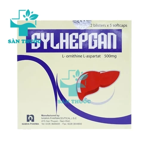Sylhepgan - Thuốc bổ gan hiệu quả