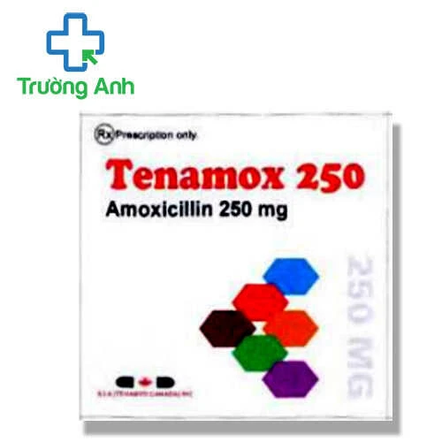 Tenamox 250 Medopharm - Thuốc điều trị nhiễm khuẩn hiệu quả
