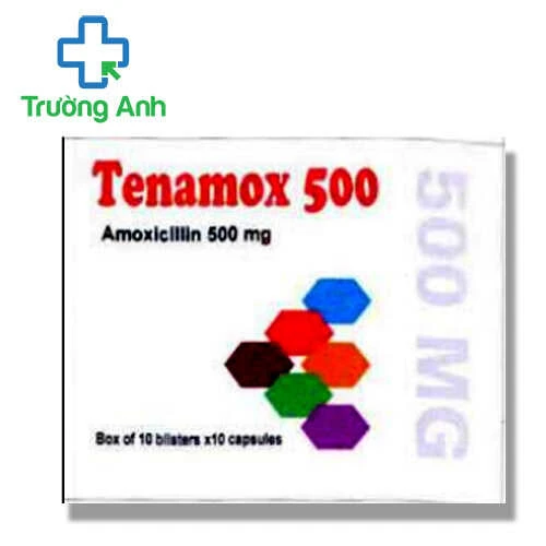Tenamox 500 Medopharm - Thuốc điều trị nhiễm khuẩn hiệu quả