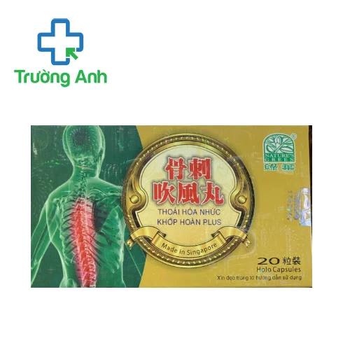 Thoái Hóa Nhức Khớp Hoàn Plus - Hỗ trợ điều trị bệnh xương khớp