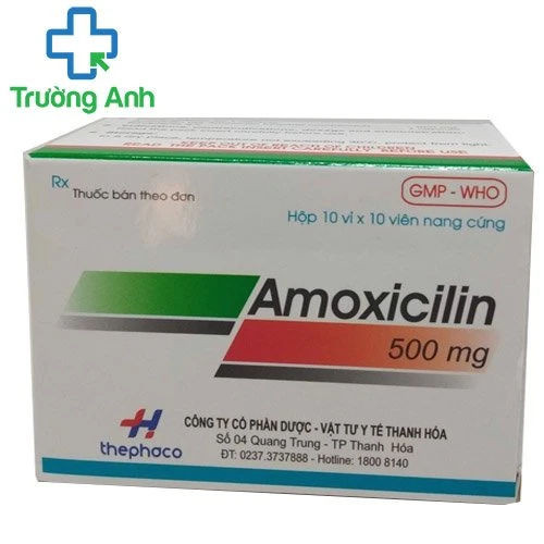 Amoxicilin 500mg Thephaco - Thuốc trị nhiễm khuẩn hiệu quả