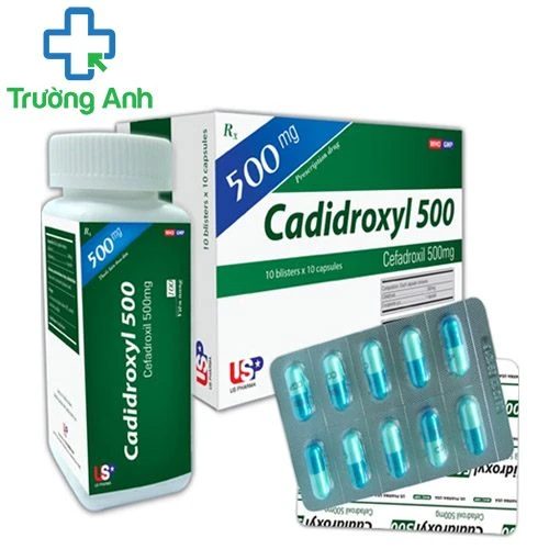 CADIDROXYL 500 USP - Thuốc kháng sinh chống nhiễm khuẩn hiệu quả