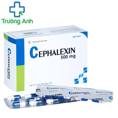Cephalexin 500mg Bidiphar - Thuốc điều trị nhiễm khuẩn hiệu quả