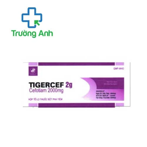 Tigercef 2g Pharbaco - Thuốc điều trị nhiễm khuẩn nặng