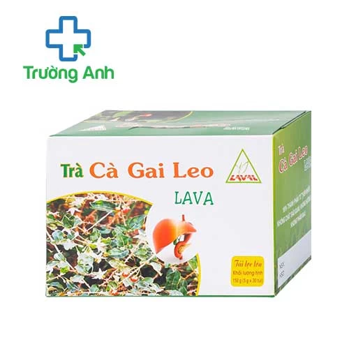 Trà Cà Gai Leo Lava - GIúp hỗ trợ tăng cường chức năng gan