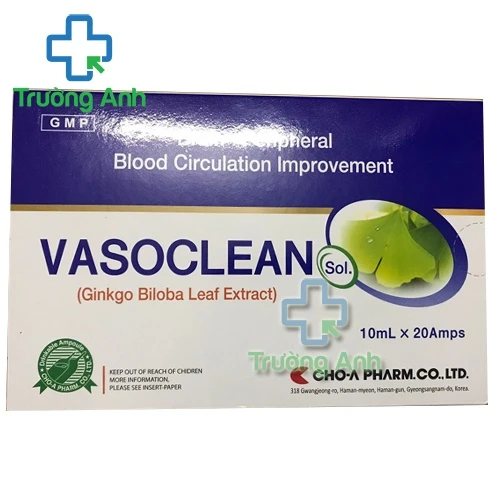 Vasoclean - Hỗ trợ tăng cường tuần hoàn não hiệu quả