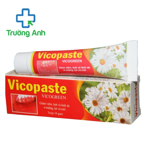 Vicopaste 10g Bibopharma - Phòng ngừa và hỗ trợ điều trị nhiệt miệng 