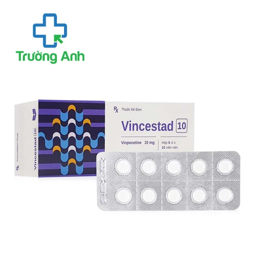 Vincestad 10- Thuốc điều trị suy giảm tuần hoàn máu não của Stada