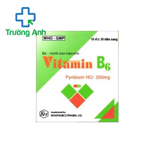 Vitamin B6 250mg Khapharco (viên nang) - Thuốc trị thiếu máu