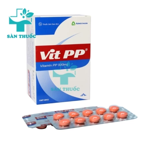 VitPP 500mg Agimexpharm - Thuốc điều trị bệnh Pellagra hiệu quả