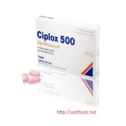 Ciplox 500 - Thuốc điều trị nhiễm trùng hiệu quả
