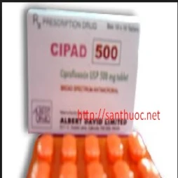 Cipad 500mg - Thuốc điều trị nhiễm trùng hiệu quả