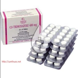 Co - Trimoxazol 480mg - Thuốc điều trị nhiễm khuẩn hiệu quả