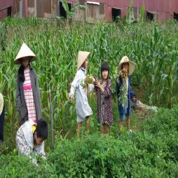 POSISVA 20 - Thuốc điều trị các bệnh về tim mạch của MEDISUN