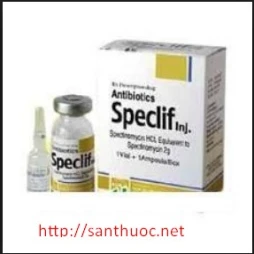 Speclif 2g - Thuốc điều trị trị viêm niệu đạo hiệu quả