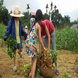 Posisva 80 - Thuốc điều trị các bệnh về tim mạch của MEDISUN