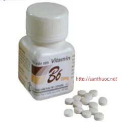 Vitamin B6 25mg Bot.100 - Thuốc giúp bổ sung vitamin B6 hiệu quả