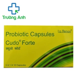 Cudo Forte - Hỗ trợ điều trị bệnh thận mạn tính của Ấn Độ