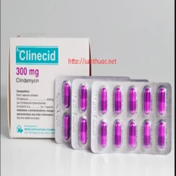 Clinecid 300mg - Thuốc kháng sinh hiệu quả