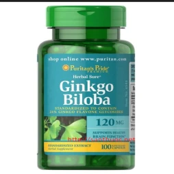 Ginkgo biloba 120mg Puritan's Pride - Giúp tăng cường tuần hoàn máu não