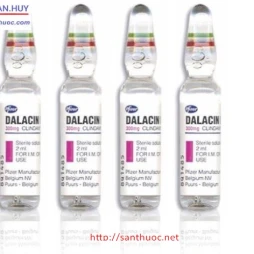 Dalacin C 300mg/2ml (tiêm) - Thuốc điều trị nhiễm khuẩn hiệu quả