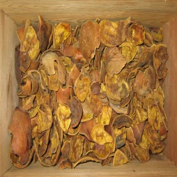 Thạch lựu bì - Công dụng, liều dùng, kiêng kị khi sử dụng thạch lựu bì