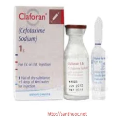 Claforan 1g - Thuốc điều trị nhiễm trùng nặng hiệu quả