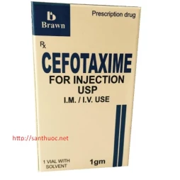 Cefotaxim 1g INDIA - Thuốc điều trị nhiễm khuẩn hiệu quả