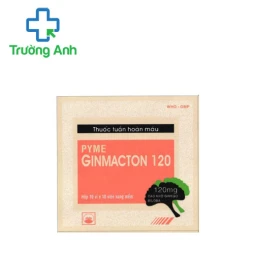 Pyme GINMACTON 120 - Thuốc tuần hoàn máu hiệu quả của PYMEPHARCO