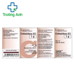 CEFTAZIDIME EG 1g - Thuốc điều trị nhiễm khuẩn của PYMEPHARCO