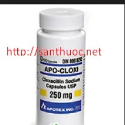 Apo - Cloxi 250mg - Thuốc kháng sinh hiệu quả
