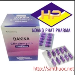 Dakina 300mg - Thuốc điều trị nhiễm khuẩn hiệu quả