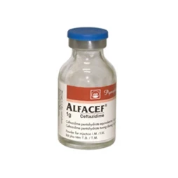 ALFACEF 1g - Thuốc điều trị nhiễm khuẩn của Pymepharco